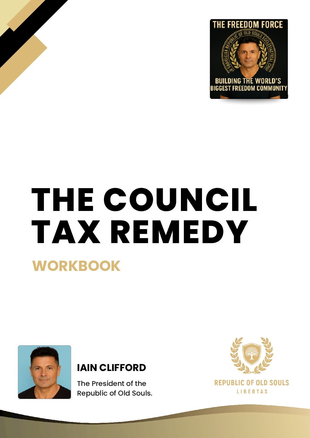 The Council Tax Remedy